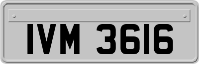 IVM3616