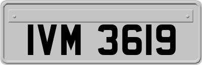 IVM3619