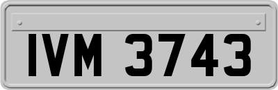 IVM3743
