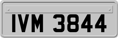 IVM3844