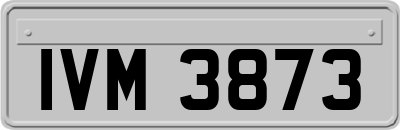 IVM3873