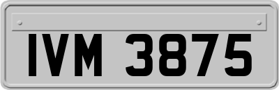 IVM3875