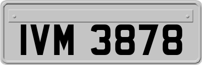 IVM3878