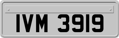 IVM3919
