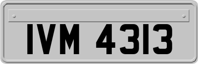 IVM4313