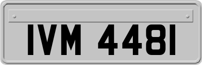 IVM4481