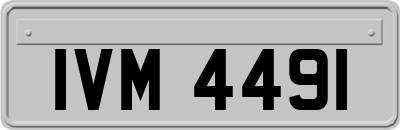 IVM4491