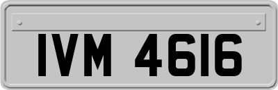 IVM4616