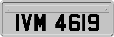 IVM4619