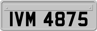IVM4875