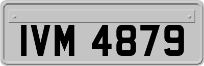 IVM4879