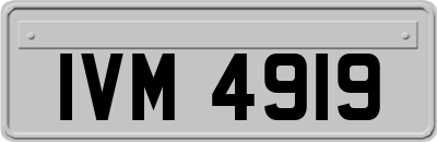 IVM4919