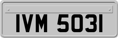 IVM5031