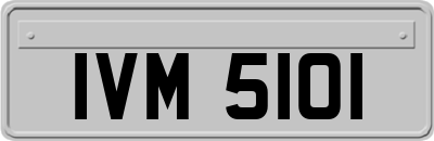 IVM5101