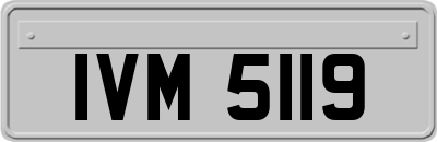 IVM5119