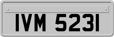 IVM5231
