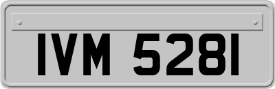 IVM5281