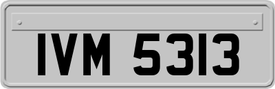 IVM5313