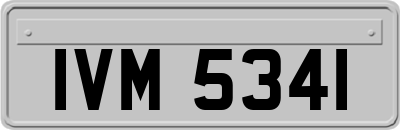 IVM5341