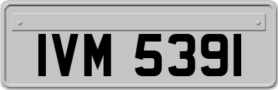 IVM5391