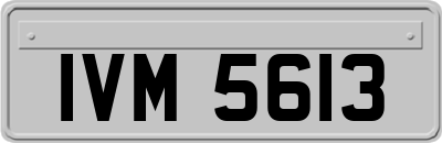 IVM5613