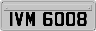 IVM6008