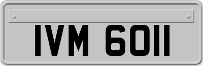 IVM6011