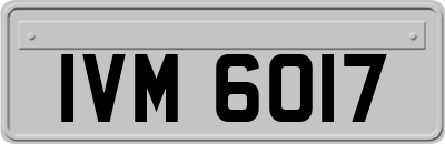 IVM6017