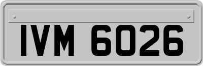 IVM6026