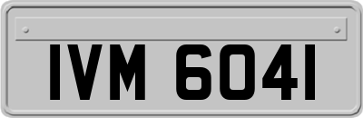 IVM6041