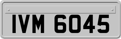 IVM6045