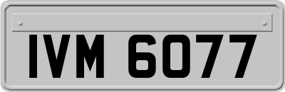 IVM6077