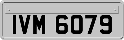 IVM6079