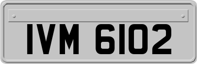 IVM6102