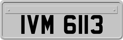 IVM6113