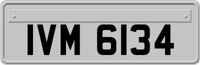 IVM6134