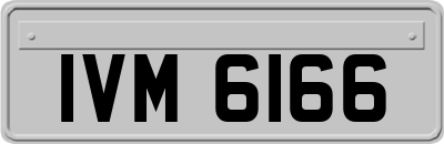 IVM6166