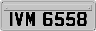 IVM6558