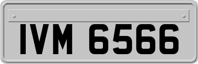 IVM6566
