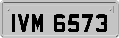 IVM6573