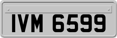 IVM6599