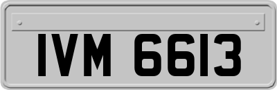 IVM6613