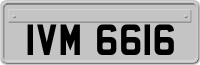 IVM6616