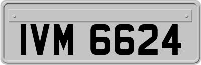 IVM6624