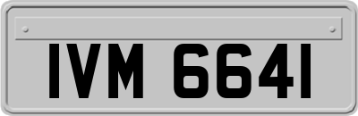 IVM6641