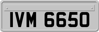 IVM6650