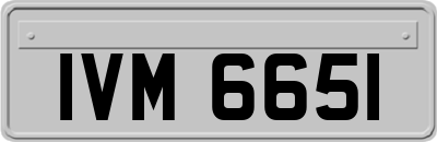 IVM6651