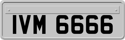 IVM6666
