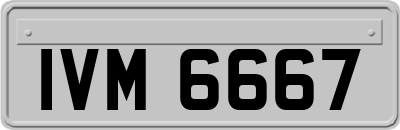 IVM6667