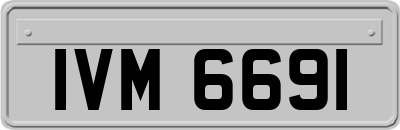 IVM6691